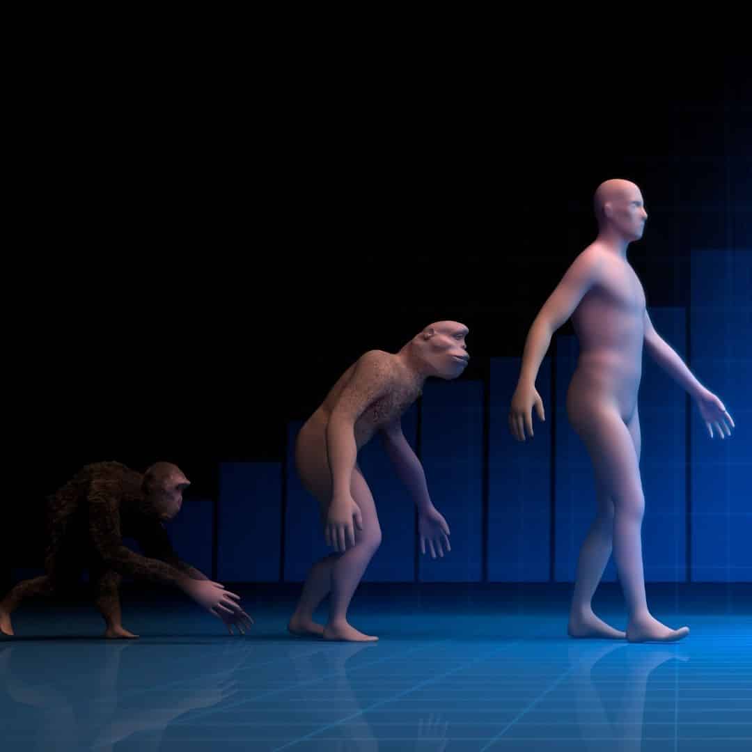 El origen de tu existencia 1 La búsqueda del propósito de vida y el sentido de pertenencia
